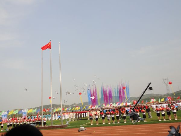 山東德衡人力資源